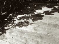 Sonnentag  33°  ASAHI Pentax 6x7, Super-Multi-Coated TAKUMAR/6x7  3.5.55, ADOX CHS 100 II  -14.06.2025 -