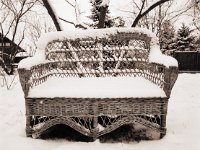 Schneeweidenbank  Pentax 6x7; 4.0/45; Kodak TMX - Januar 1997 -