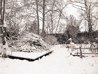 Schnee auf Reiher und Herbstschnitt  Pentax 67II, 4.0/45, 400TX/250