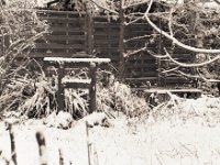 Torii im Schnee  Pentax 6x7, SMC 4.0/200, Ilford HP5plus@400