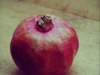 Granatapfel