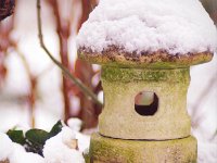 Laterne im Schnee oder Wo ist der kleine Buddha?