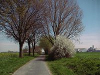 Feldweg im Frühling