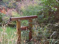 Torii im Herbst