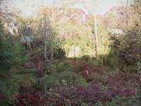 Der Garten im Herbst von "Oben"