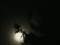Mondschein in tiefer Nacht