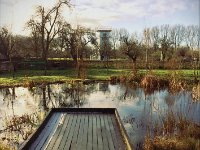 Teich im Naturzentrum Bislicher Insel