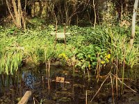 Erinnerung an Gross A´Thuin