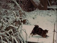 Spaß im Schnee