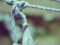 Seilschaft