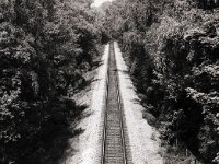 Bahngleise nach Irgendwo  Pentax 6x7;  4.0/200; Delta 400 pro - Mai 1997 -