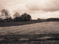 Ackerland und dunkle Wolken  Fuji GW 690 III, Gelbfilter, Classic Pan 400