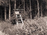Ansitz für Hobbytöter  Pentax 645N, 4.0/45 (67er), Adox CHS 100/64