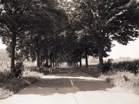 Landstraße bei Baerl  Fuji GW 690 III, Adox CHS 100/64