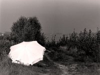 Picknick unterm Sonnenschirm