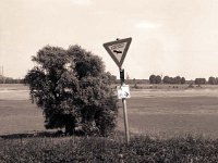 Rhein bei Duisburg-Homberg  Pentax 6x7; 2.4/105; Maco PO 100c/80 - Juli 2006 -