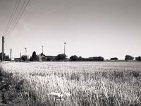 Windmühlen und Kornfeld  Fuji GW 690 III; Ilford HP 5plus/800 ASA - Gelb/Mittel-Filter - Juli 2003 -