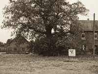 Eier zu verkaufen  Pentax K-1, HD Pentax - DFA 2.8/ 24-70 ED SDM WR  - 29.10.2018 - : Bauernhaus, Baum, Hinweisschild