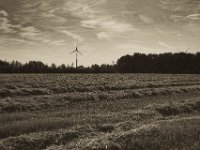 Geerntetes Weizenfeld  Pentax K-1, smc PENTAX-FA 43mm F1.9 Limited  -27.07.2019 - : Feld, Felder, Landschaft, Niederrhein, Windrad