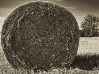 Stroh  Pentax K-1, smc PENTAX-FA 43mm F1.9 Limited  -27.07.2019 - : Feld, Landschaft, Landwirtschaft, Niederrhein, Strohballen