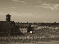 Hof und Felder  Pentax K-1, smc PENTAX-FA 43mm F1.9 Limited  -27.07.2019 - : Bauernhof, Landschaft, Niederrhein, Strohballen, Weg