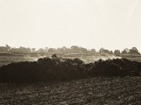 Mist auf dem Acker  Pentax 67II, SMC 2.4/105, Ilford Delta 400@400