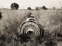 Spargelfeld im Herbst  Fuji GW 690 III, Bergger Pancro400  - 10.10.2020 - : Landschaft, Spargel, Feld, Herbst, Landwirtschaft