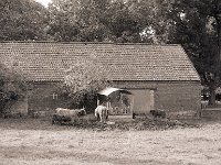 Mütter und Töchter  Pentax 645N, 2.8/150, 400TX/250