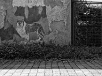 Das Wandbild zerfällt  PENTAX K-3 Mark III Monochrome, HD PENTAX - DA* 2.8/16-50 ED PLM AW - 03.08.2025 -