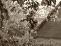 Herbst vor dem Fenster  Pentax K-1, HD Pentax-DFA* 1.4/50 SDM AW  - 01.11.2023 -