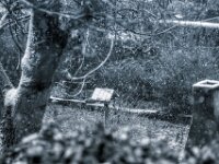 Winter im Garten  PENTAX K-3 Mark III Monochrome, SMC PENTAX-FA 1.8/77 AL Limited   - 03.01.2026 -
