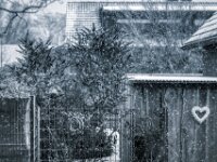 Schneefall  PENTAX K-3 Mark III Monochrome, SMC PENTAX-FA 1.8/77 AL Limited   - 03.01.2026 -