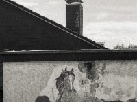 Wandbild  Pentax M;Z-S, SMC PENTAX-FA 1.8/77 Limited, ADOX CHS 100 II  - 19.06.2024 -