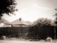 Dorf - Siedlungsstraße  Fuji GS645S professional,  Fuji Acros 100II@64 : Nachbar, Vorgarten, Erlenstraße, Zaun, Straße