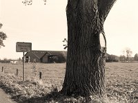 Menzelen  Pentax 67II, 2.4/105, Adox CHS 100/100