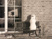 Der Schneemann verschwindet  Pentax 645N, 2.8/150, 400TX/250