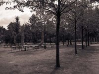 Rastplatz  Fuji GW 690 III; Rollei R3/320 - Juni 2005 -