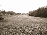Landschaft mit Bagger  Pentax 67II, SMC Takumar 4.5/75, Rollei RPX100@200