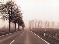 Niederrhein Dunst- und Nebel  Pentax 645N, 2.8/75, Gelbfilter, Ilford HP5+@400