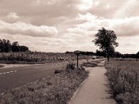 Zum Friedhof gehts hier lang  Pentax 645N, 2.8/45, Gelbfilter, Ilford FP4plus@250