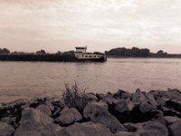 Rheinschipper  Pentax 645N, 2.8/45, Adox CHS100@80