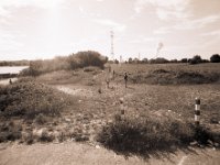 Warten neben der Fähren-Anlegestelle  Pentax MZ-S, Soligor C/D wide auto 2.8/20 MC, Ilford FP4plus@80 : Fähre, homepage, Hund, Kinder, Landschaft, Rheinwiesen