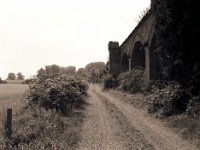 Viadukt Ruine  Pentax MZ-S, SMC FA  1.9/43 Limited, Gelbfilter, Bergger Pancro 400