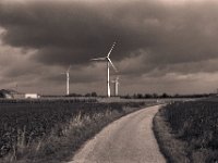 Windkraft  Pentax MZ-S, SMC FA  1.9/43 Limited, Adox Silvermax 100