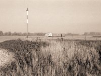 Herbstsonne am Flussufer  Pentax K2, SMC M 2.8/40, Bergger Pancro 400@100