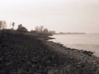 Herbst am Rheinufer  Pentax K2, SMC M 2.8/40, Bergger Pancro 400@100