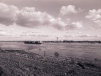 Der Rhein steigt übers Ufer  Pentax Super A, Soligor C/D Wide 2.8/20 MC, Ilford FP4plus@80