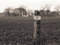 Spannung  Contax Aria, Planar 1.4/50, Bergger Pancro 400@200