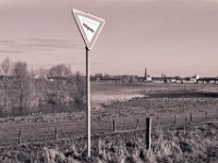 Naturschutzgebiet  Contax Aria, Planar 1.4/50, Gelbfilter, Ilford FP4+@80