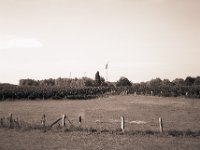 Weiden, Mais und Windkraft  Fuji GW 690 III, Adox CHS 100II@64